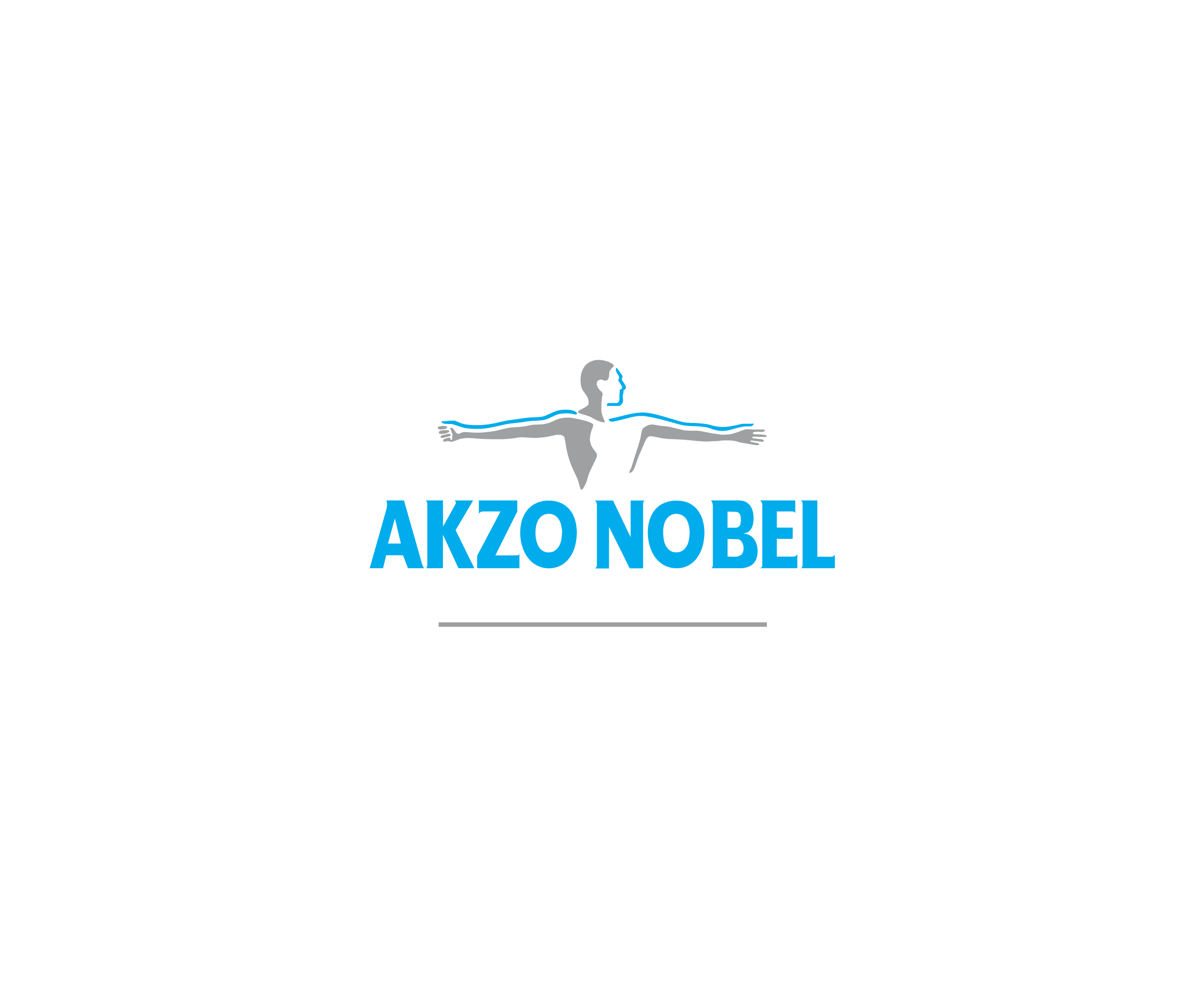 Akzo Nobel 11965标志