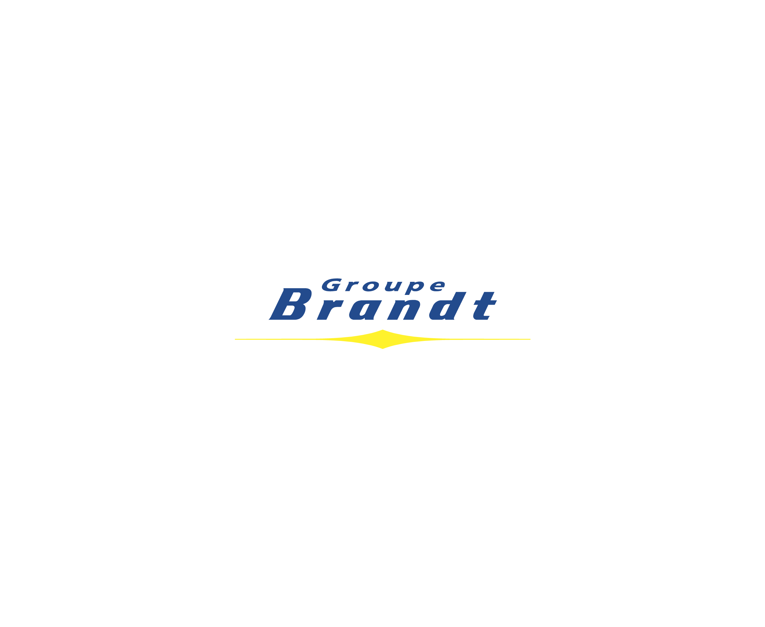 Brandt Group标志