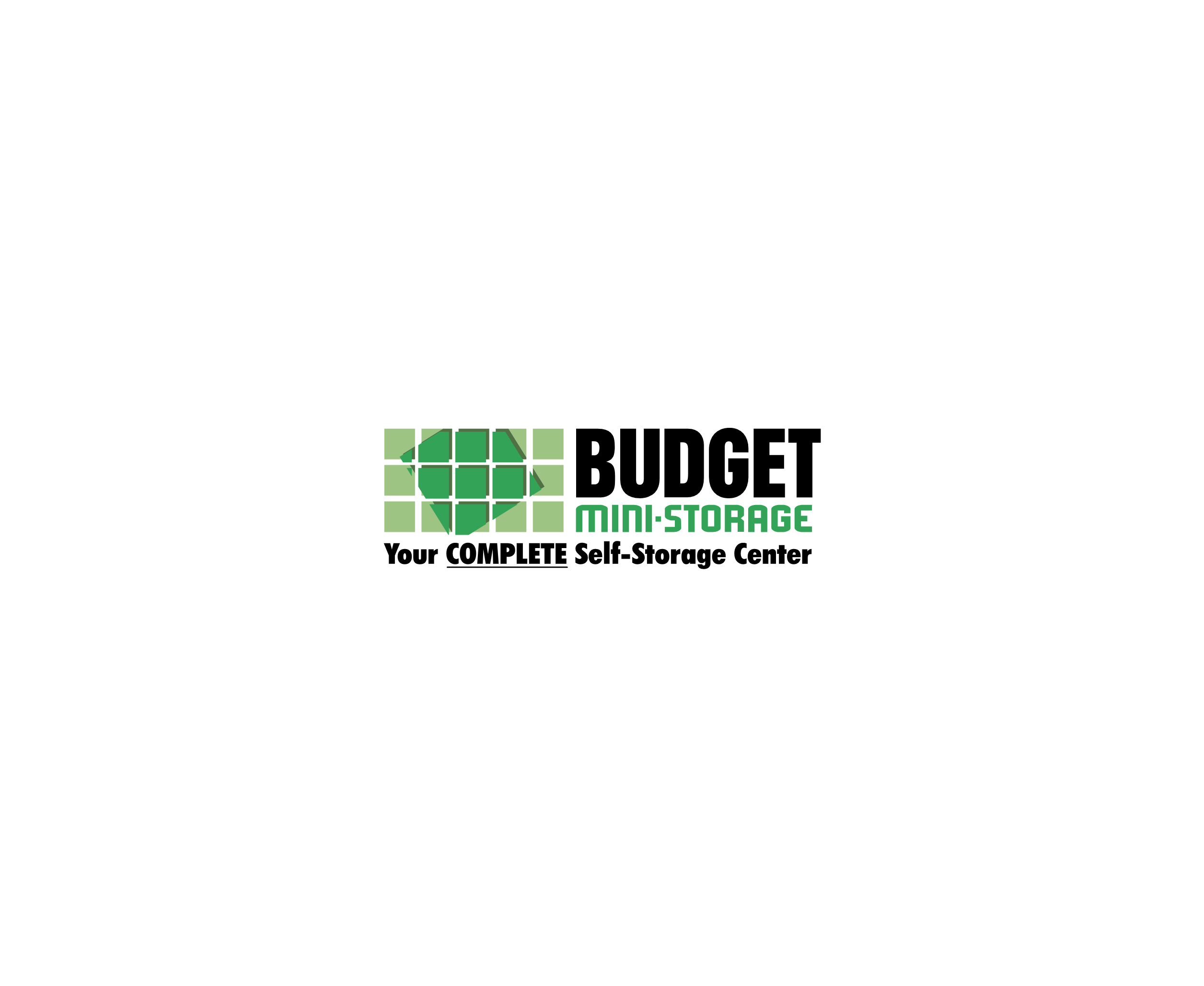 Budget Mini Storage 81243标志