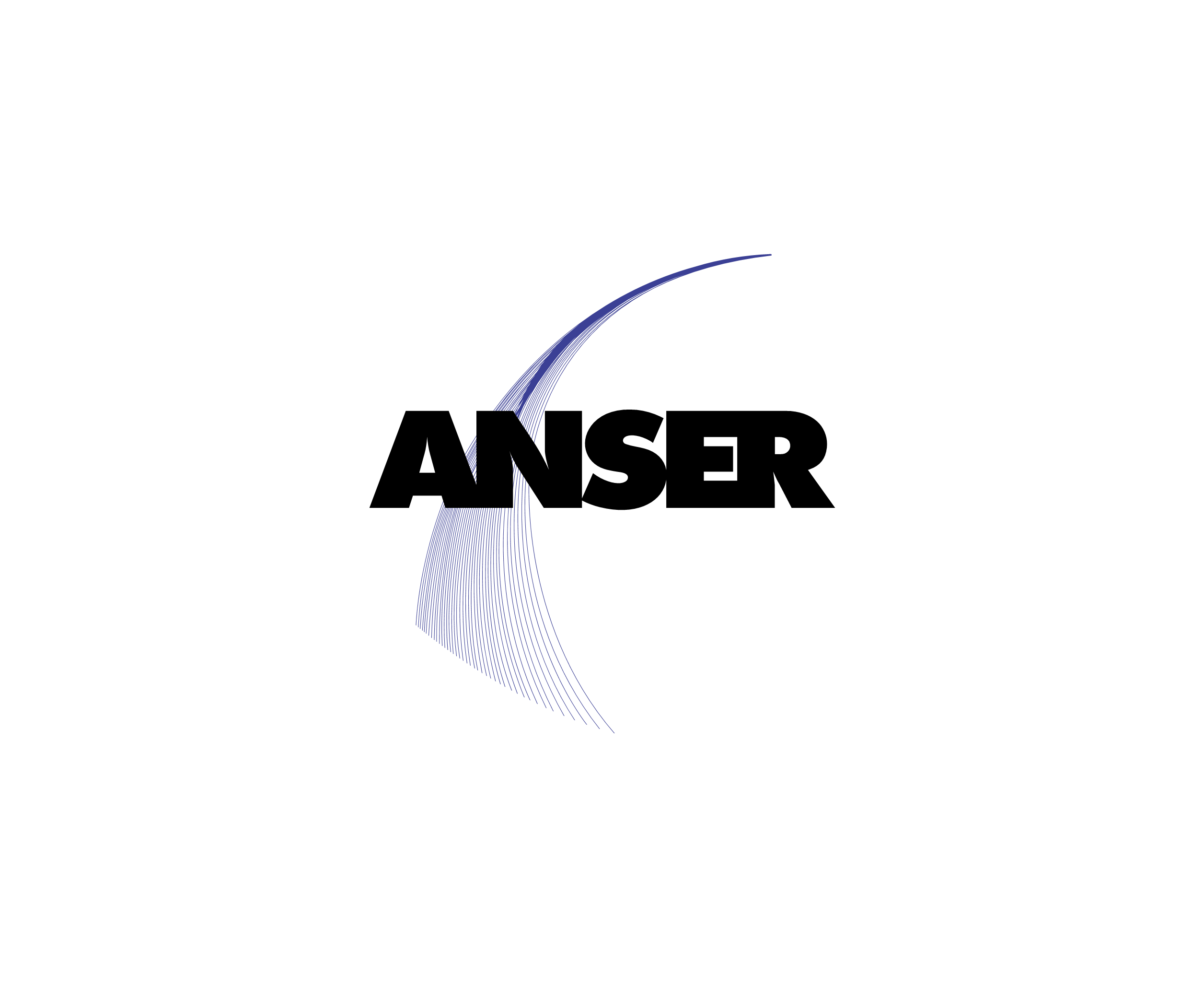 Anser标志