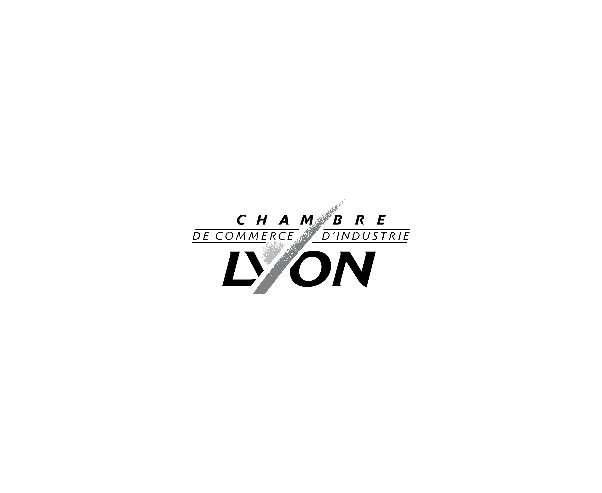 Cci Lyon标志
