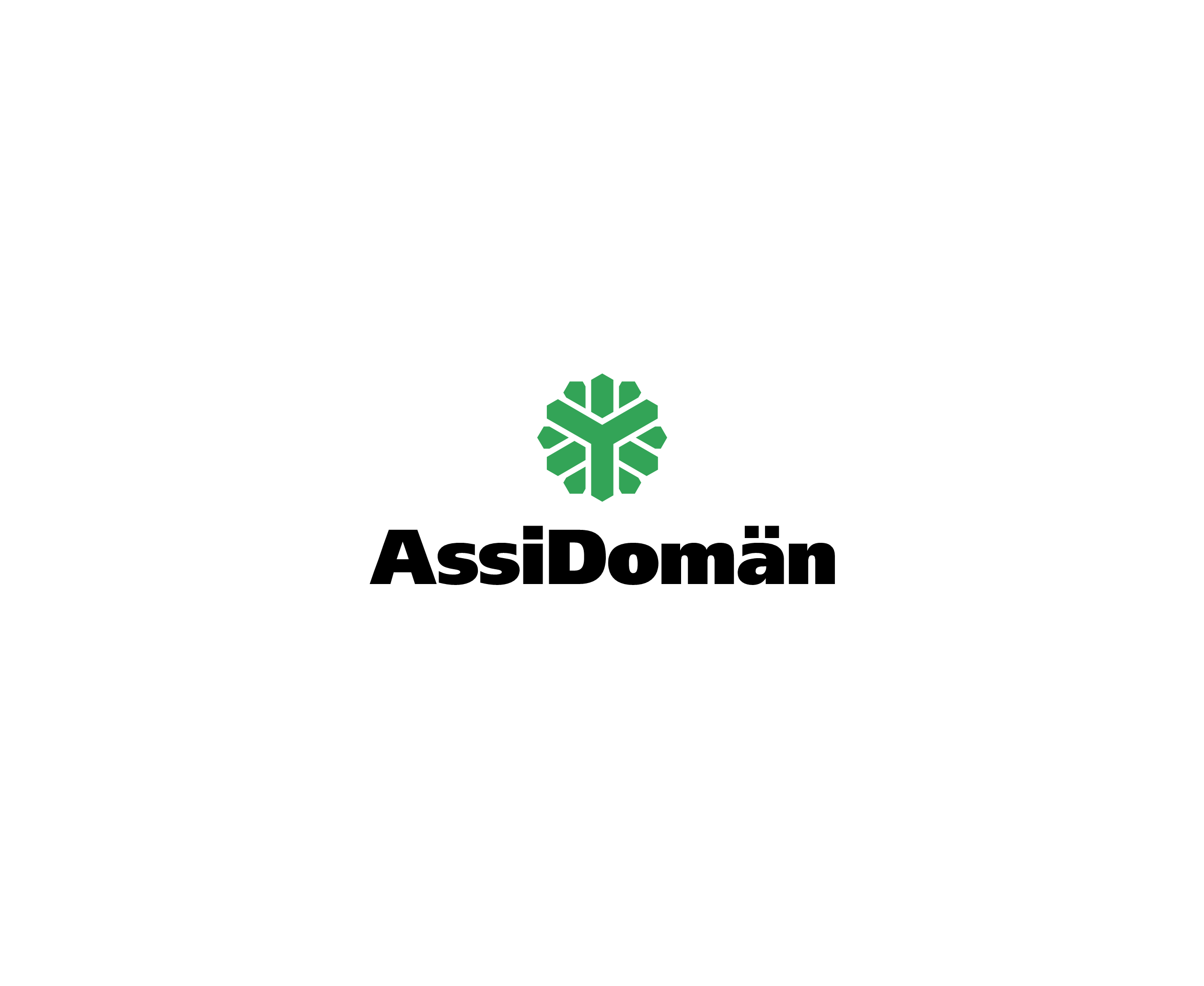 Assidoman 1标志