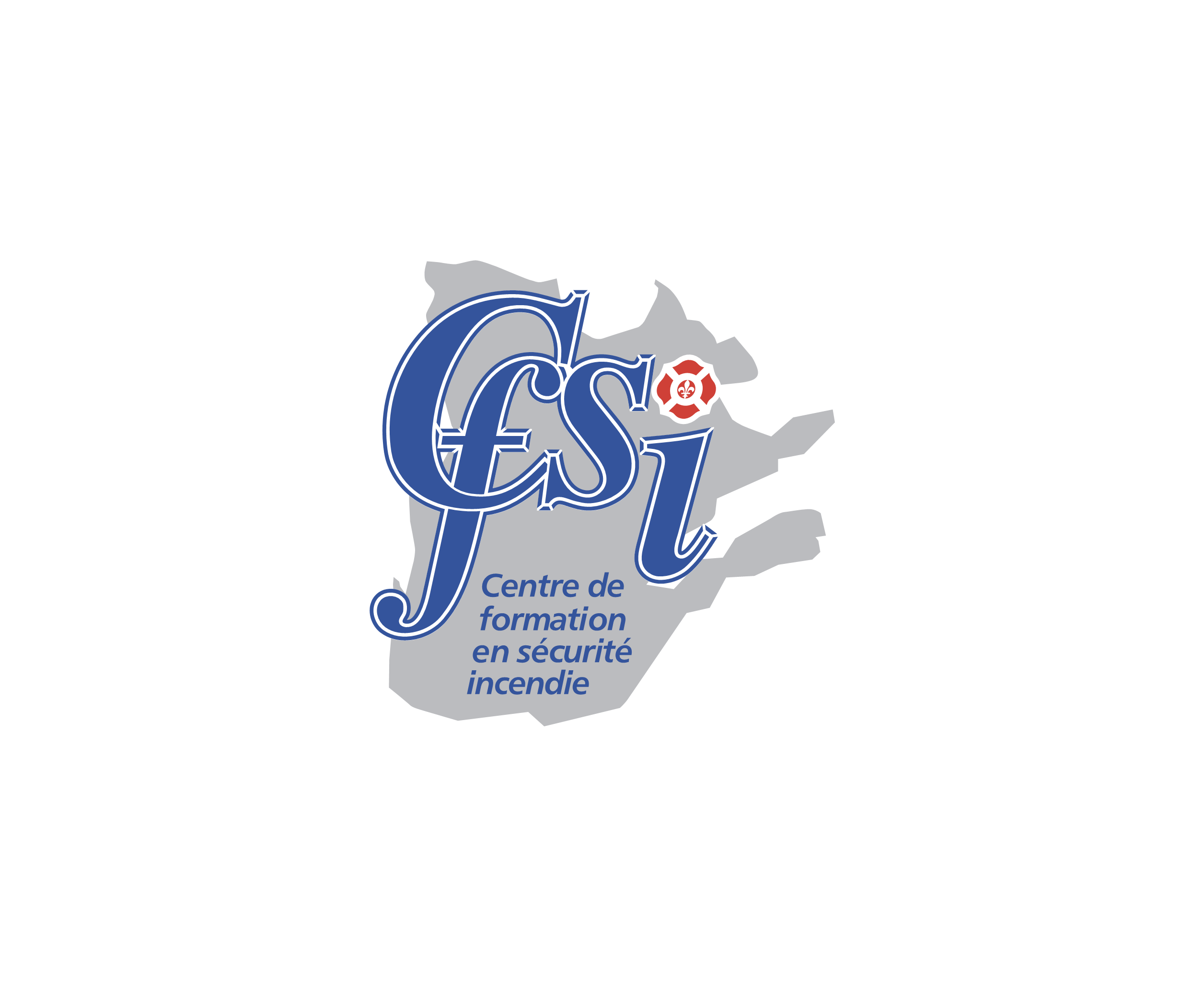 Cfsi标志