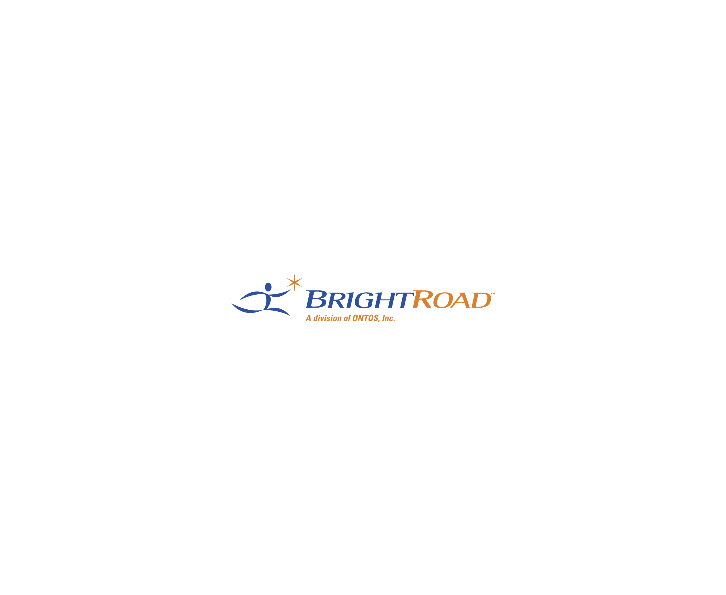 Brightroad 69845标志