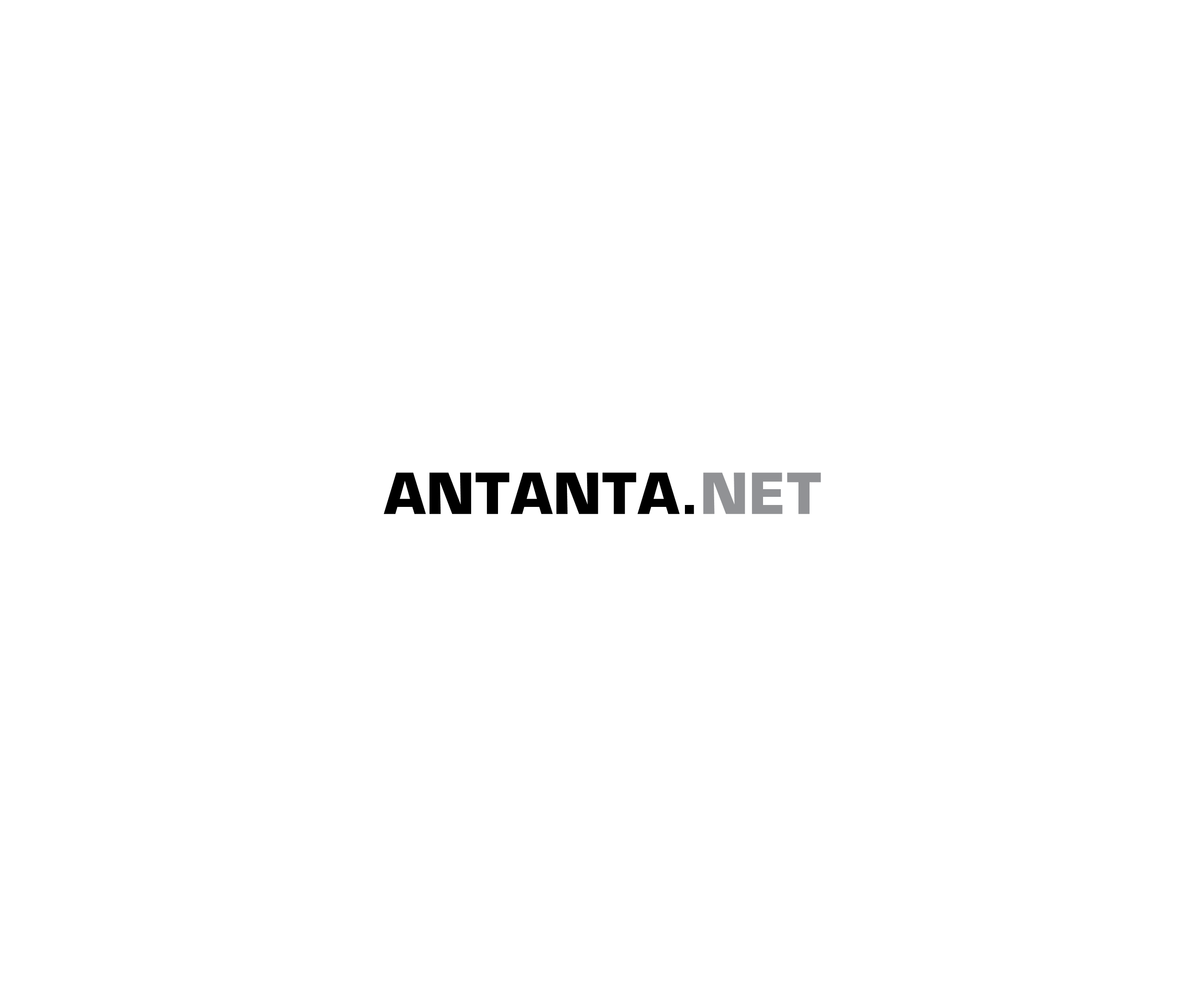 Antanta Net标志