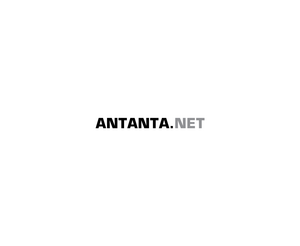 Antanta NetLOGO