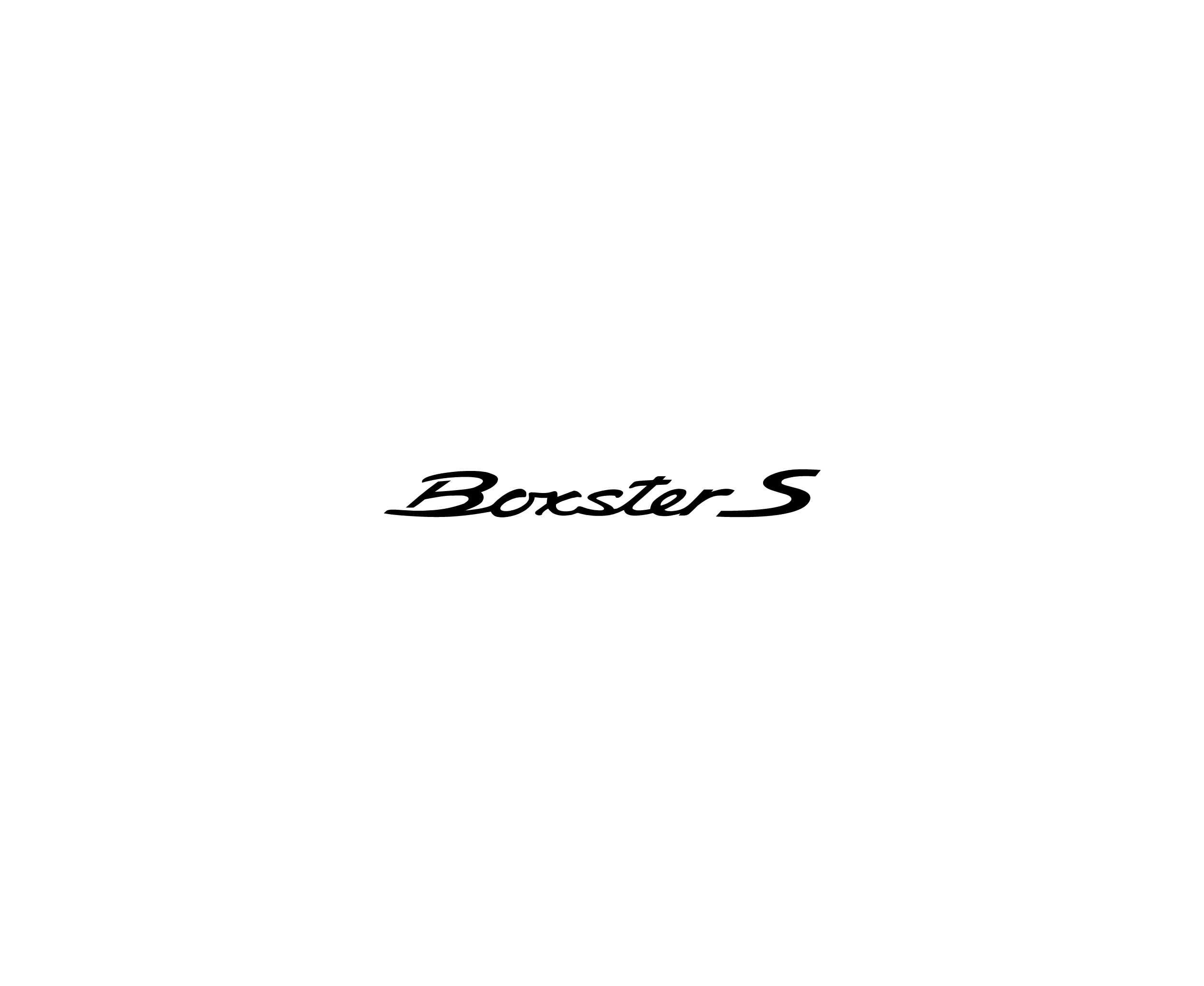 Boxter S 49017标志