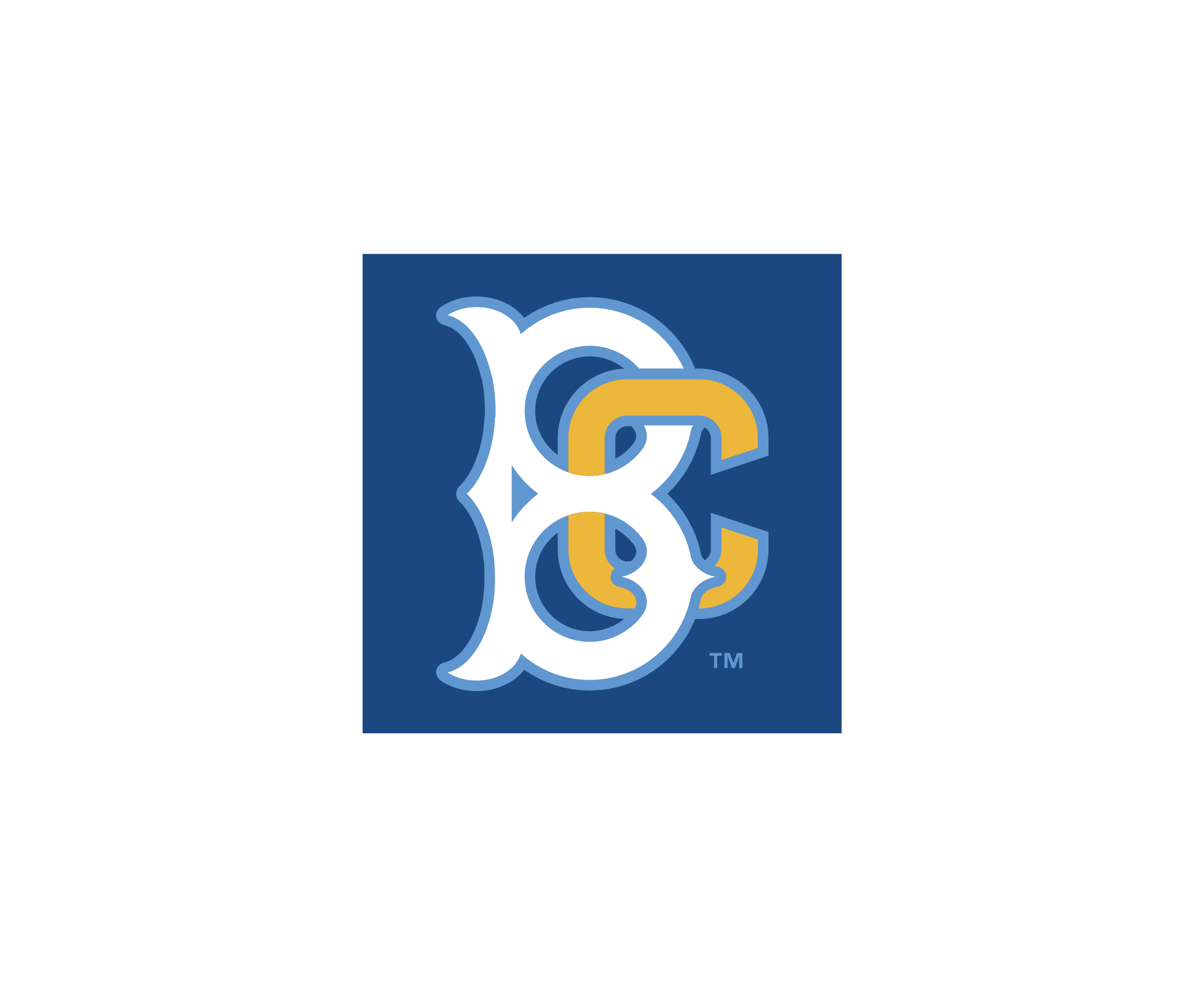 Brooklyn Cyclones标志
