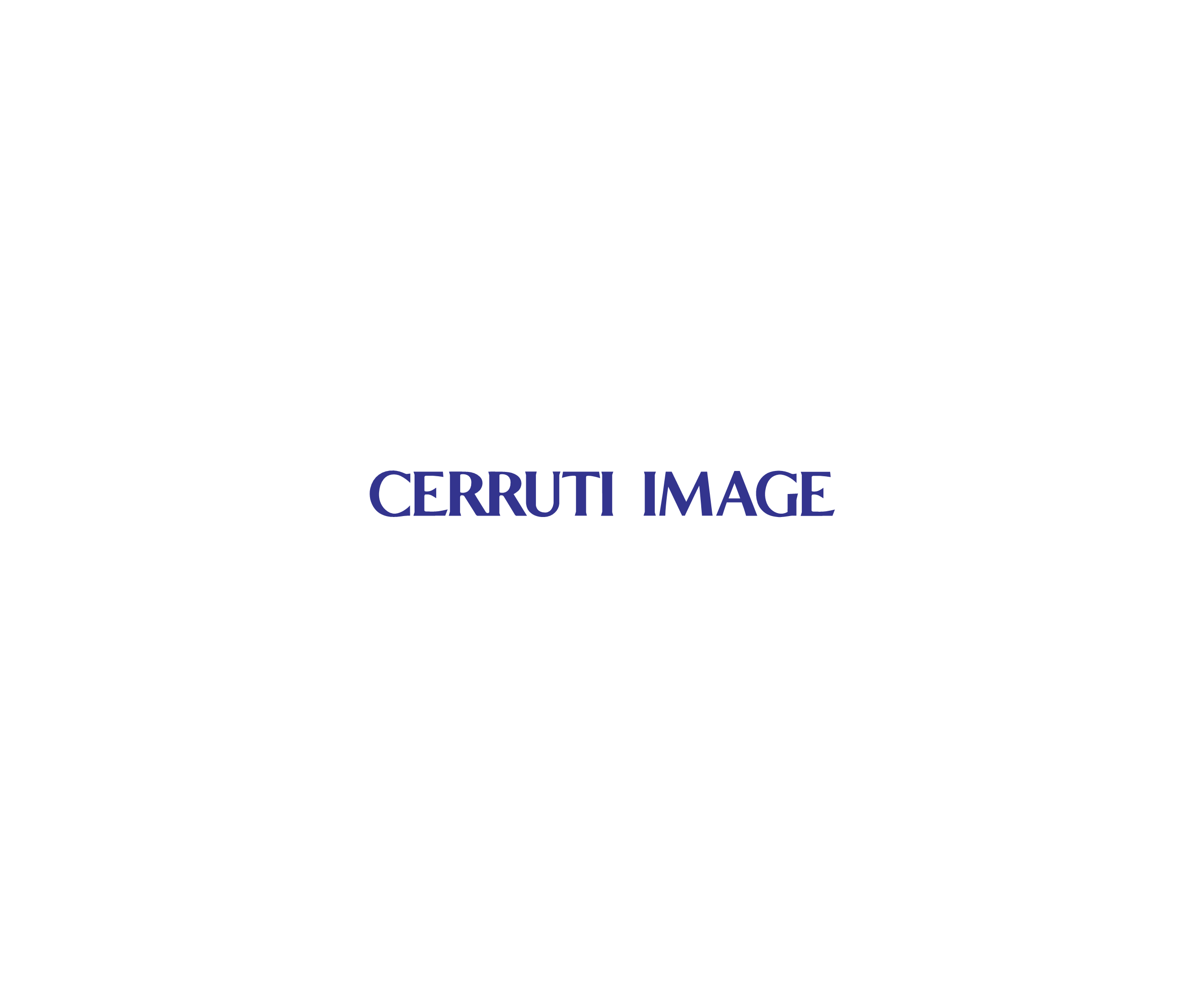 Cerruti Image标志
