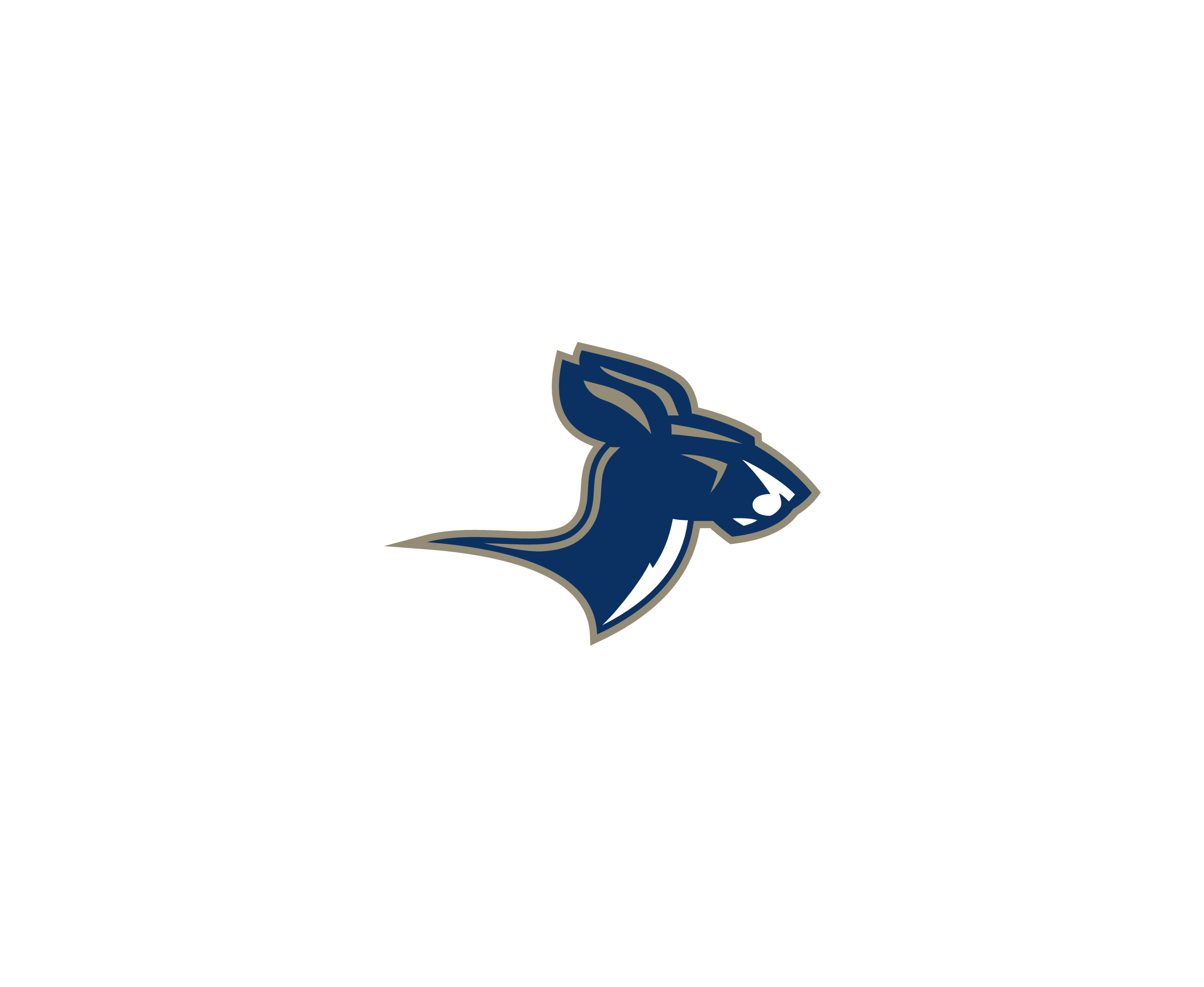 Akron Zips 6标志