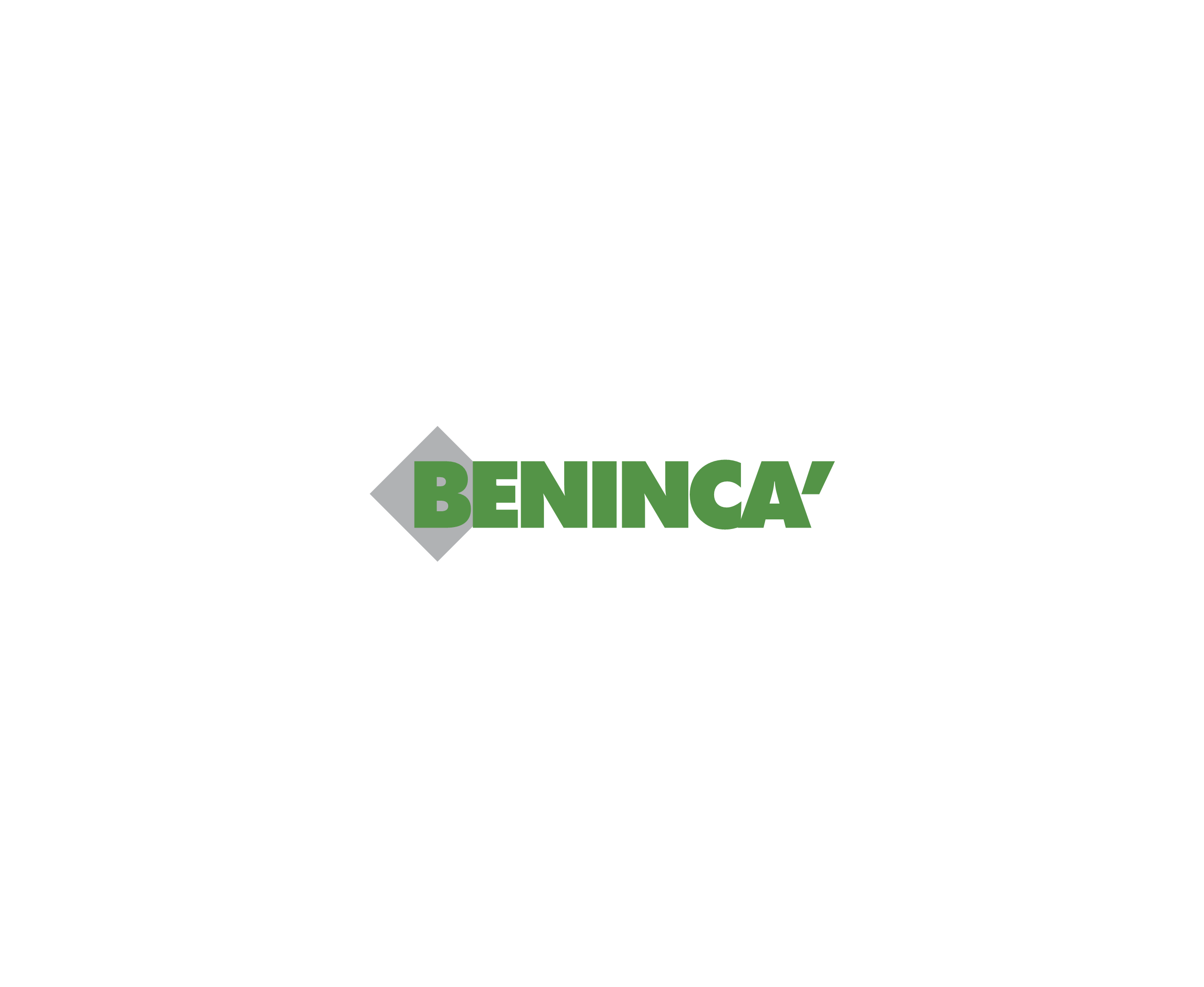 Beninca标志
