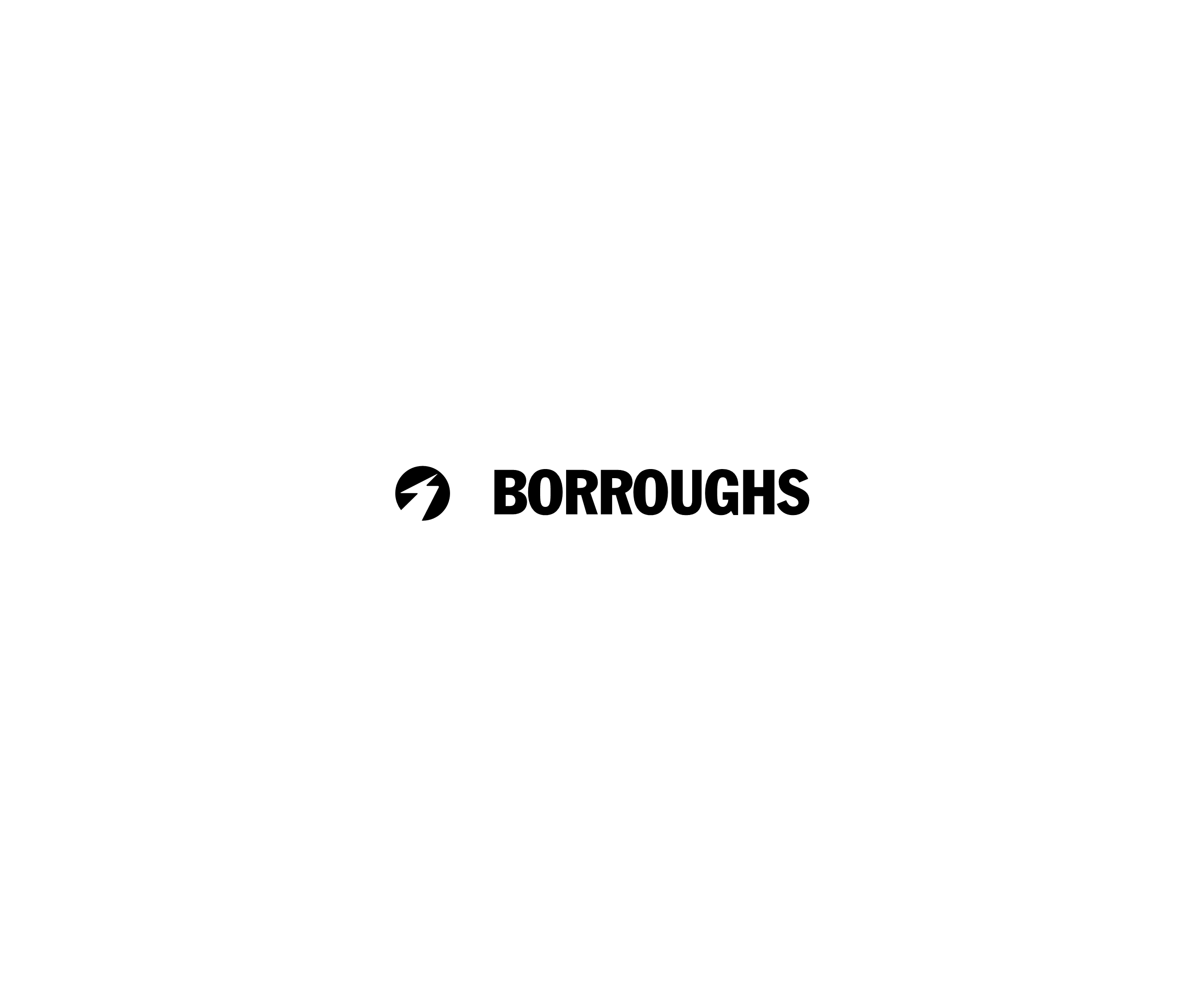 Borroughs 55668标志