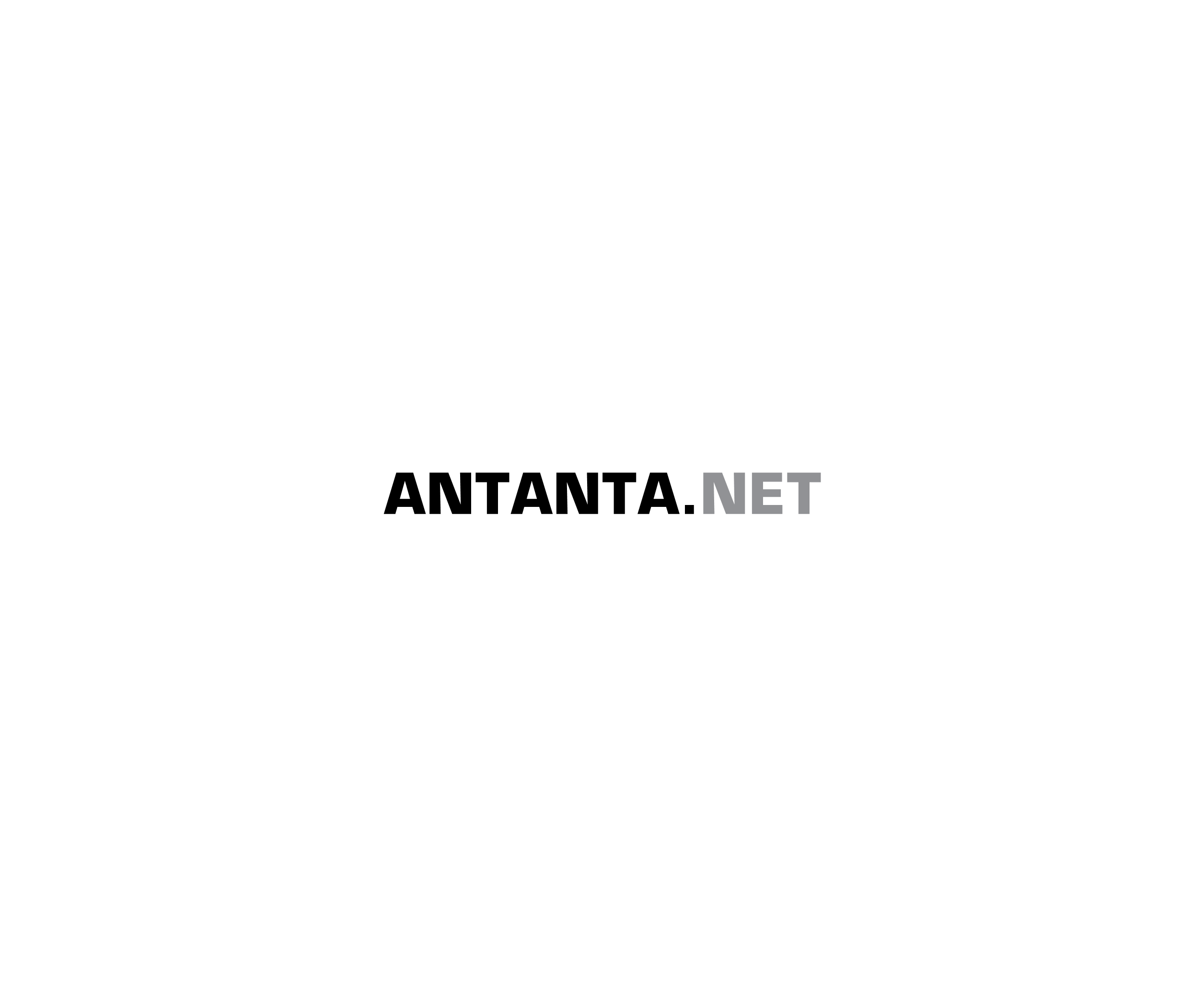 Antanta Net 71297标志