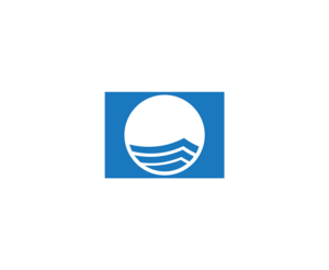 Blue Flag 64848LOGO