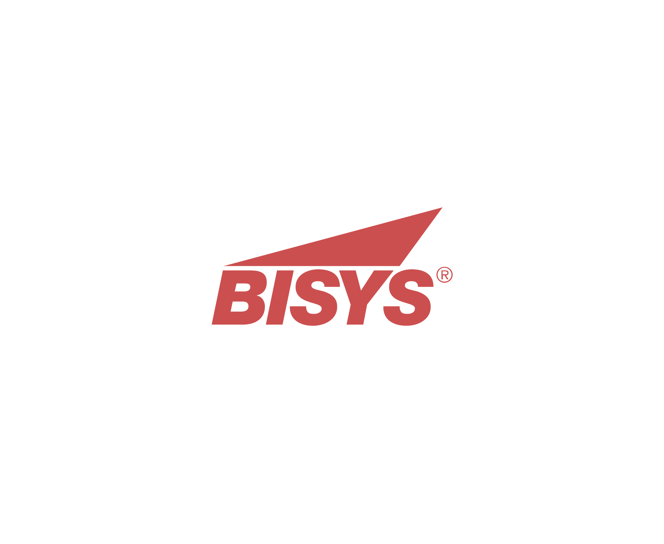 Bisys Group 65020标志