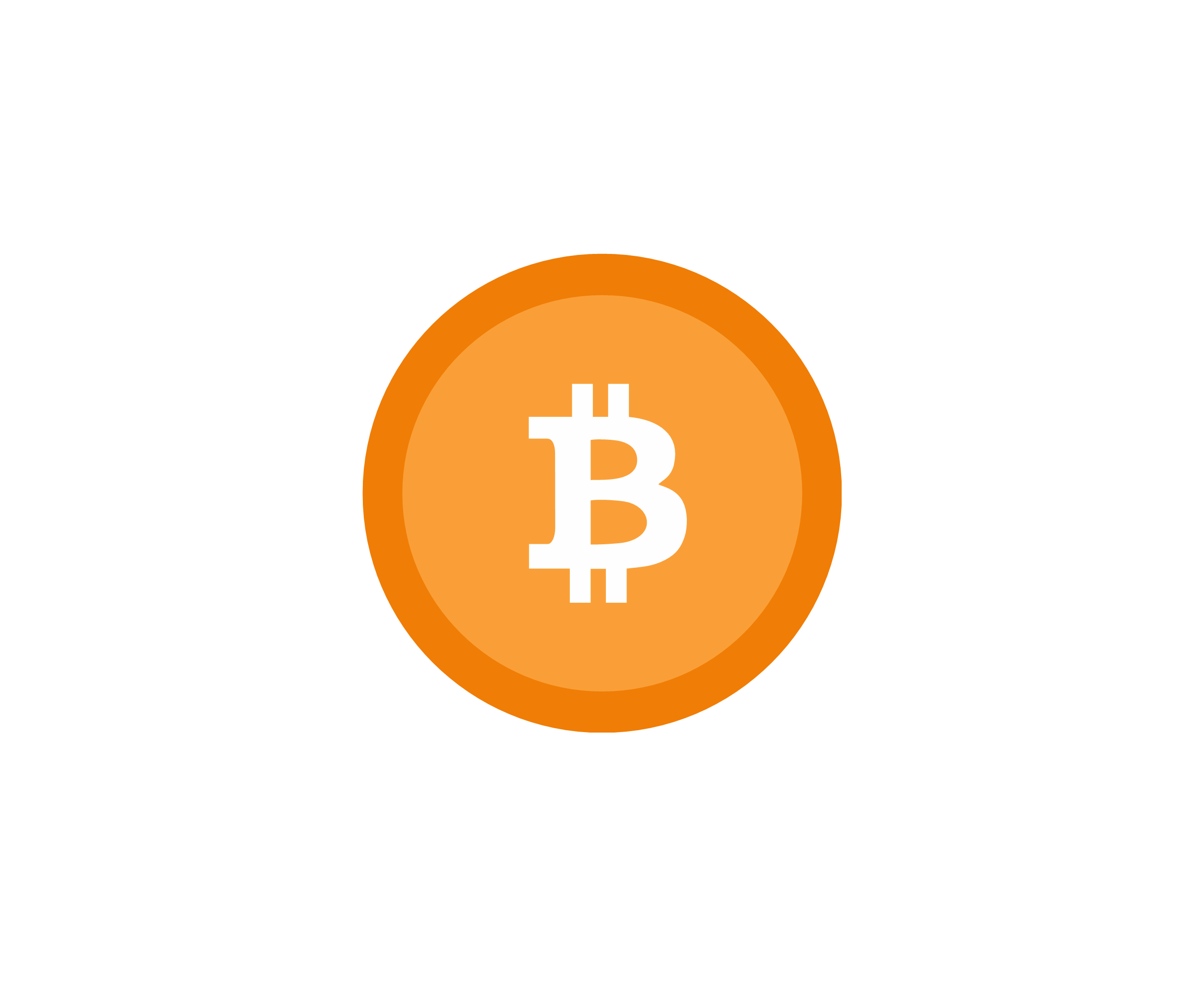 Bitflip标志