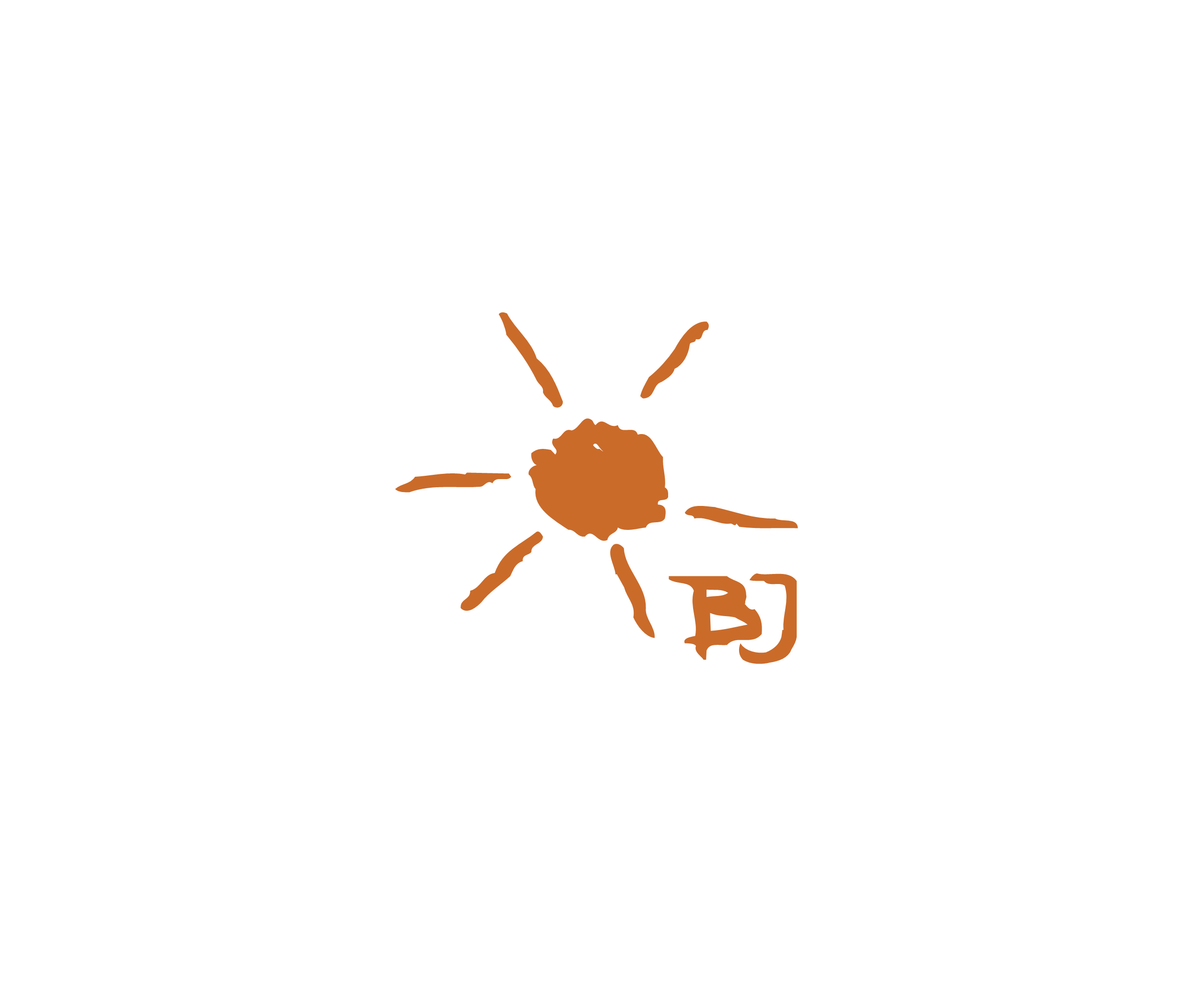Bj标志