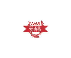 Aami 1LOGO