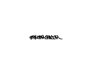 Box Car Racer 84352LOGO