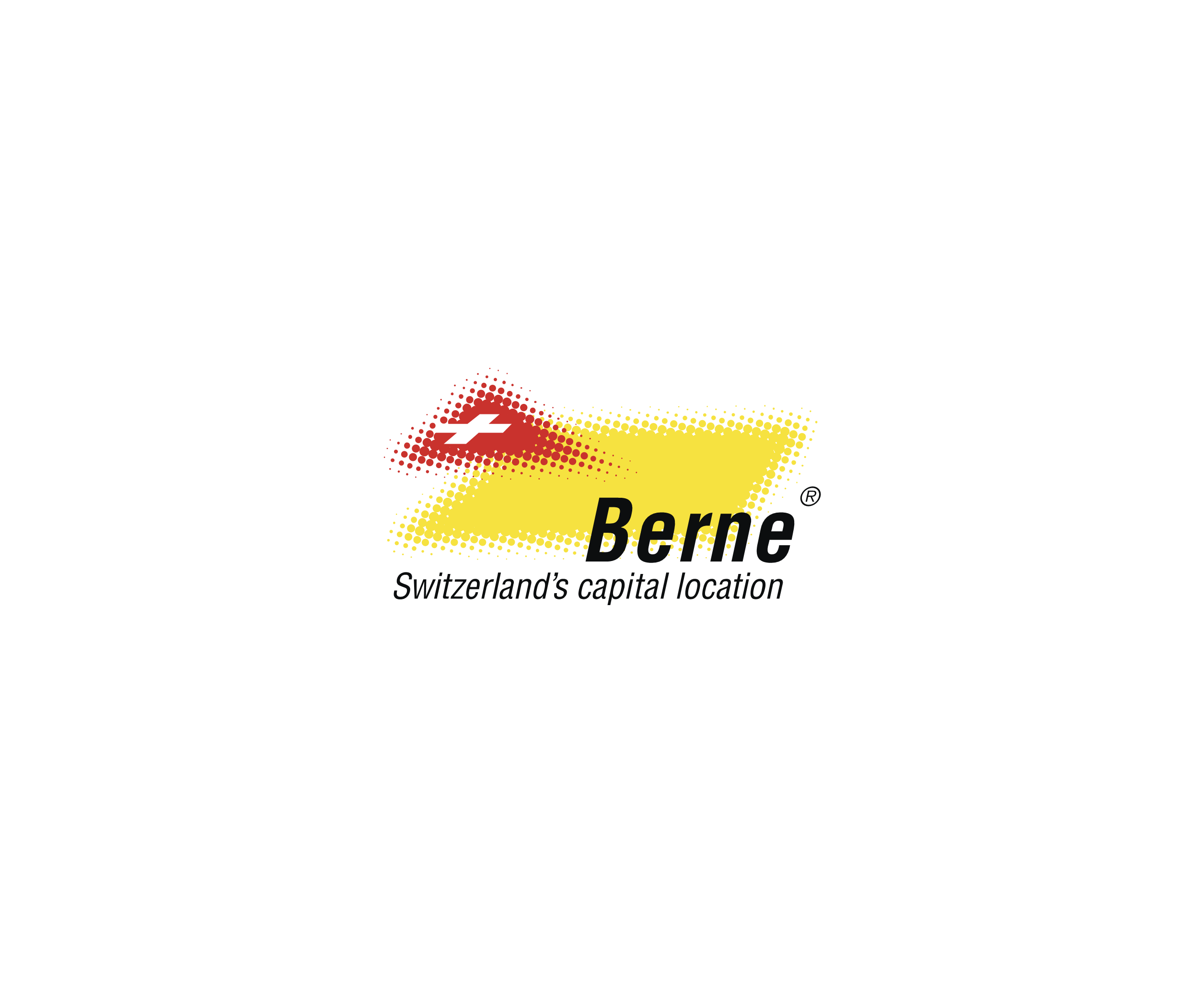 Berne 40976标志