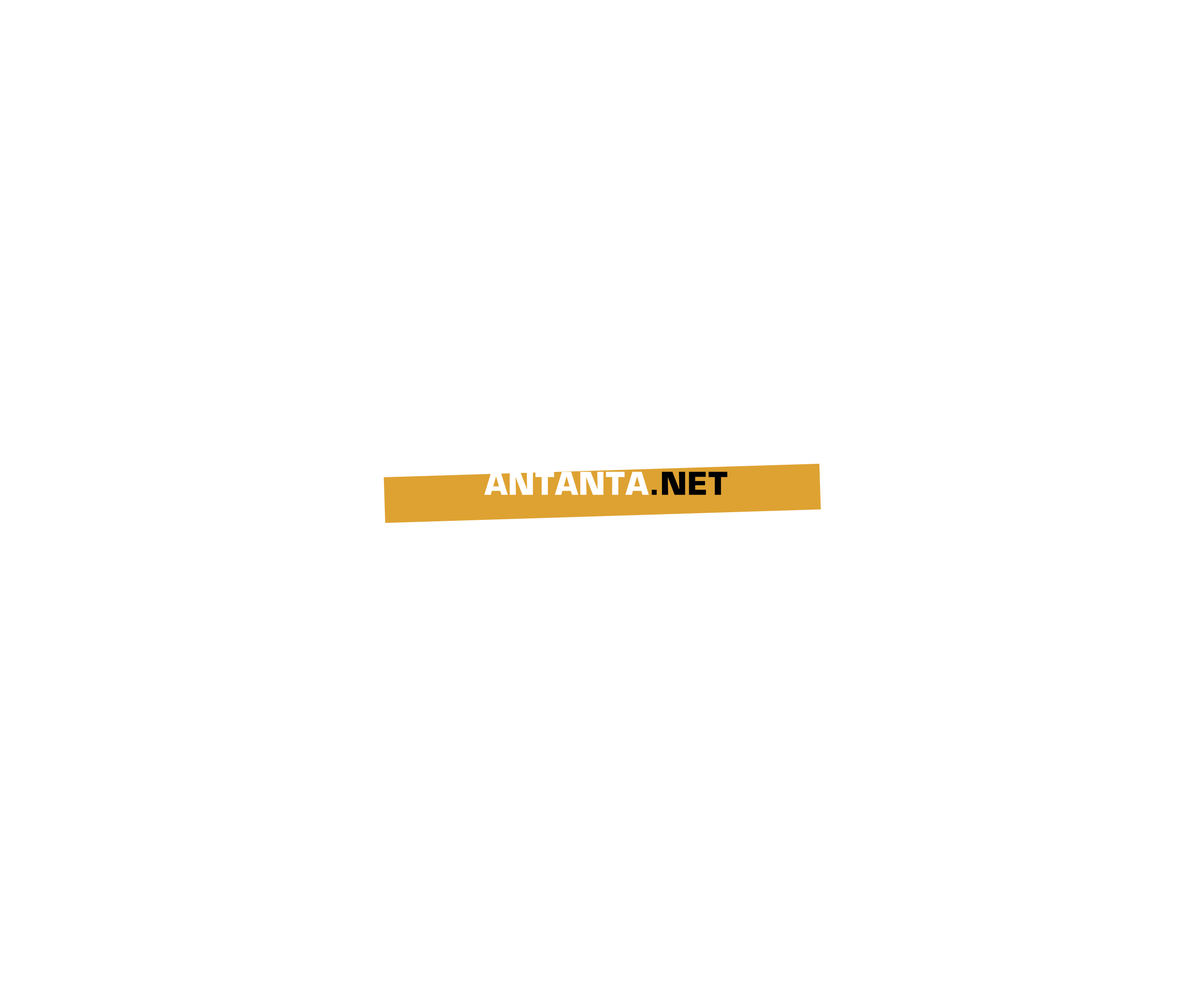 Antanta Net 1标志