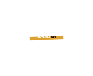 Antanta Net 1LOGO