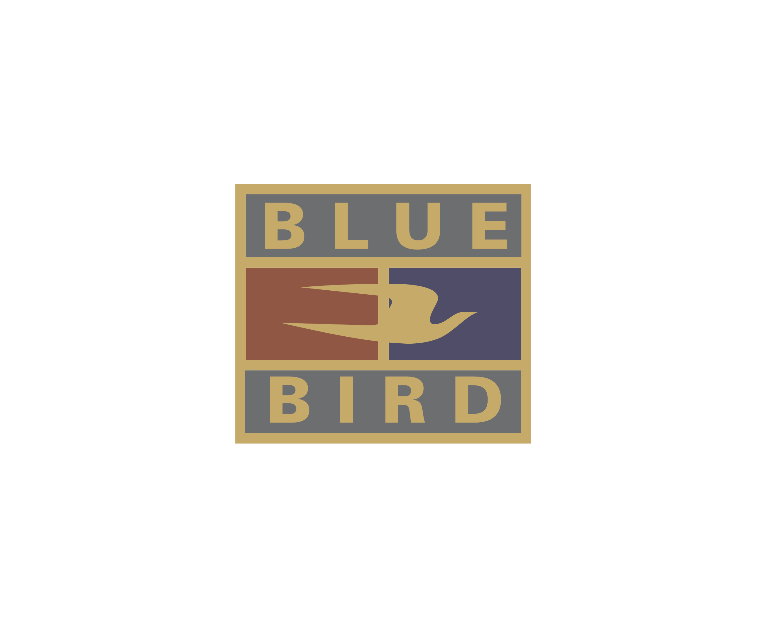 Blue Bird 905标志