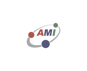 Ami PartnersLOGO
