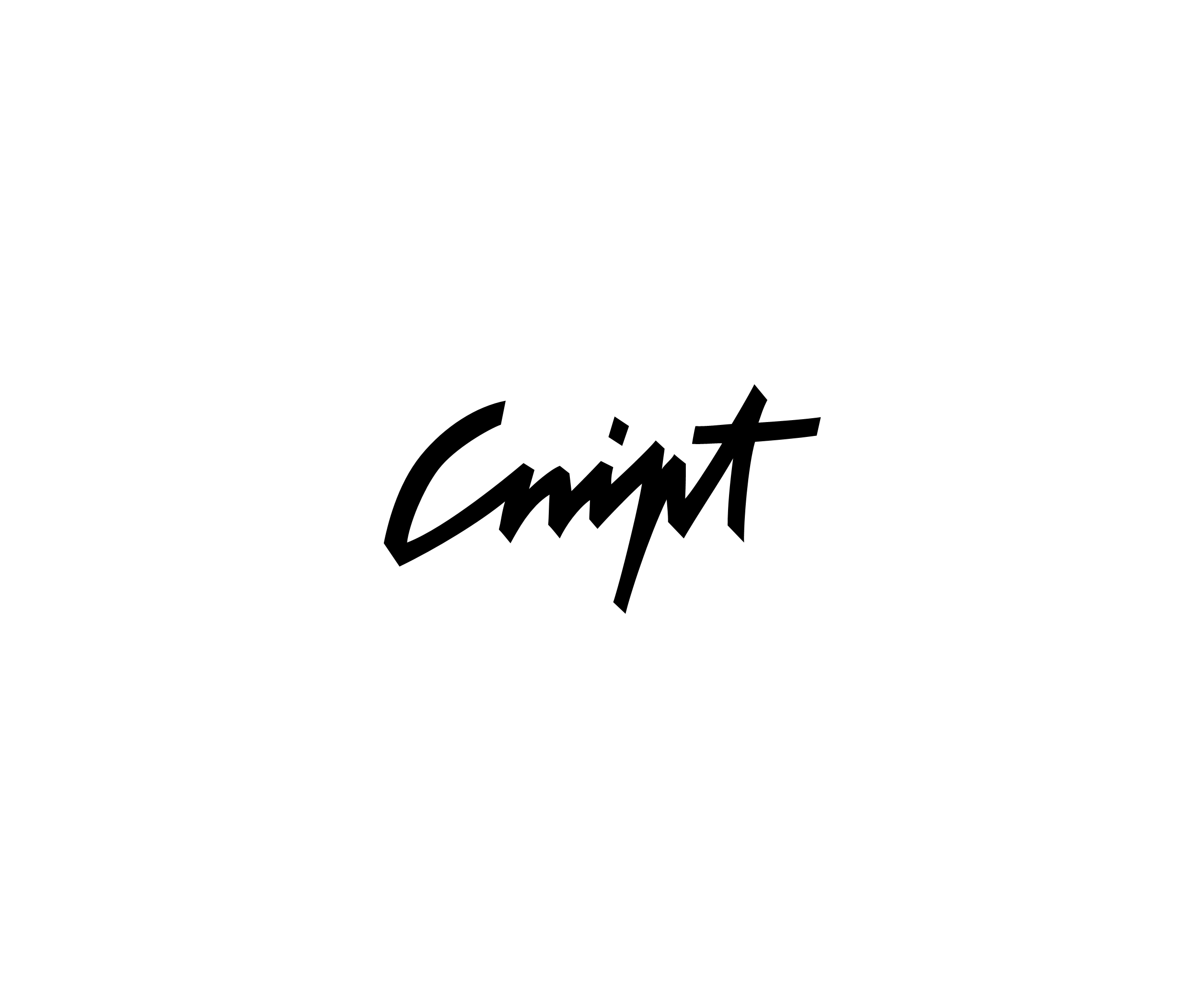 Cnipt标志