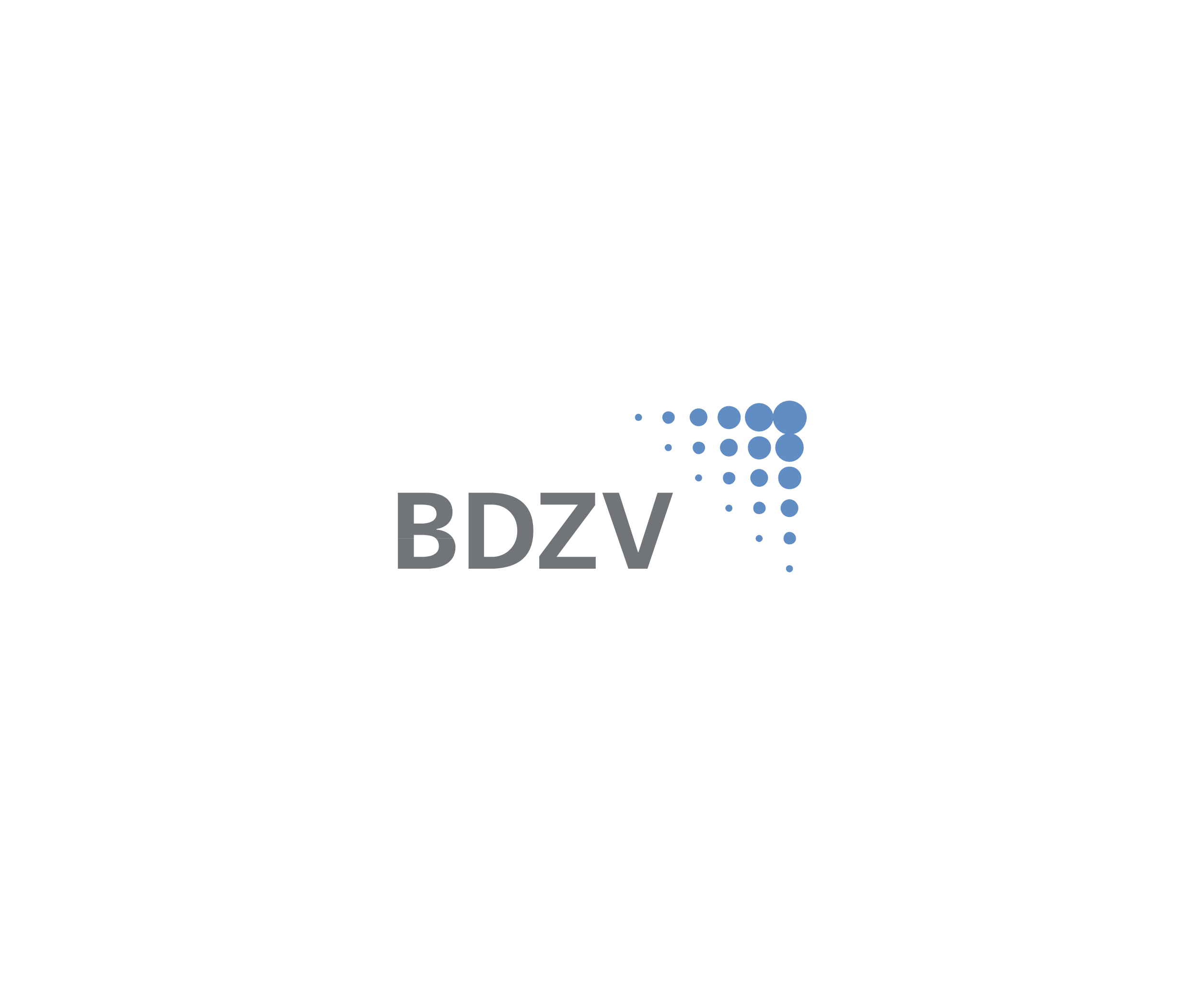 Bdzv标志