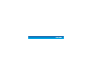 Citicorp 1LOGO