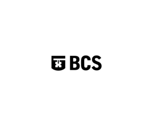 Bcd 1LOGO