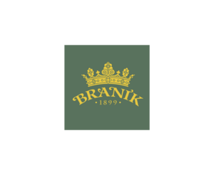 Branik 949LOGO