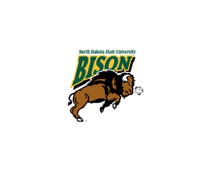 Ndsu Bison 7LOGO