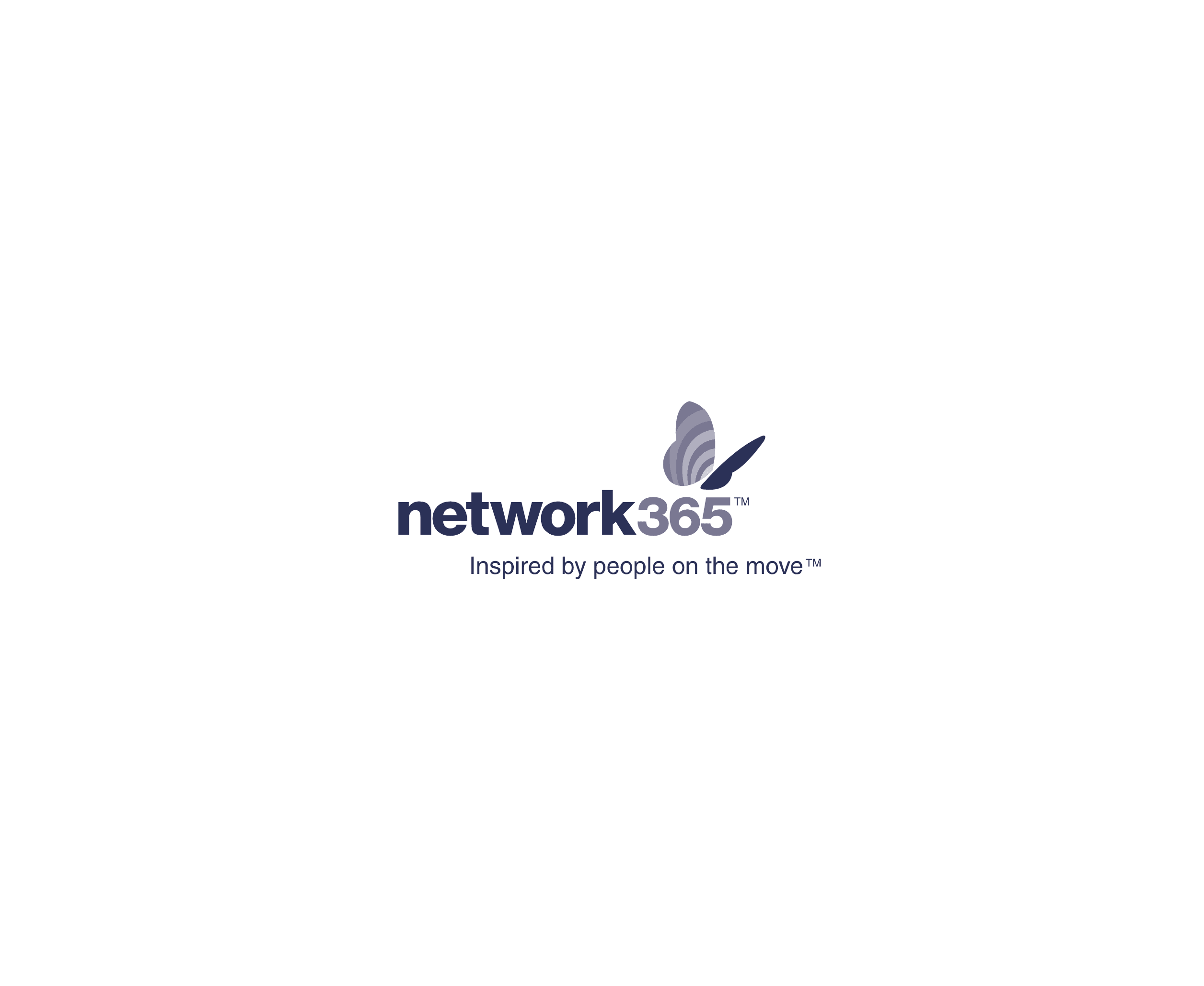Network365标志
