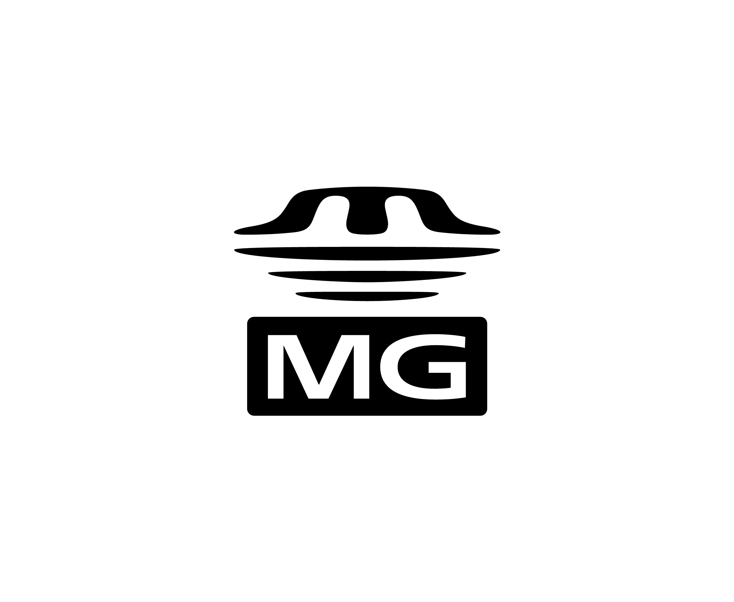 Memory Stick Mg标志