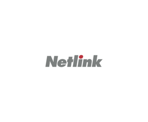 NetlinkLOGO