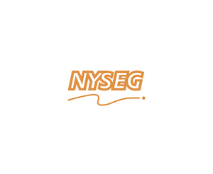 Nyseg 1LOGO