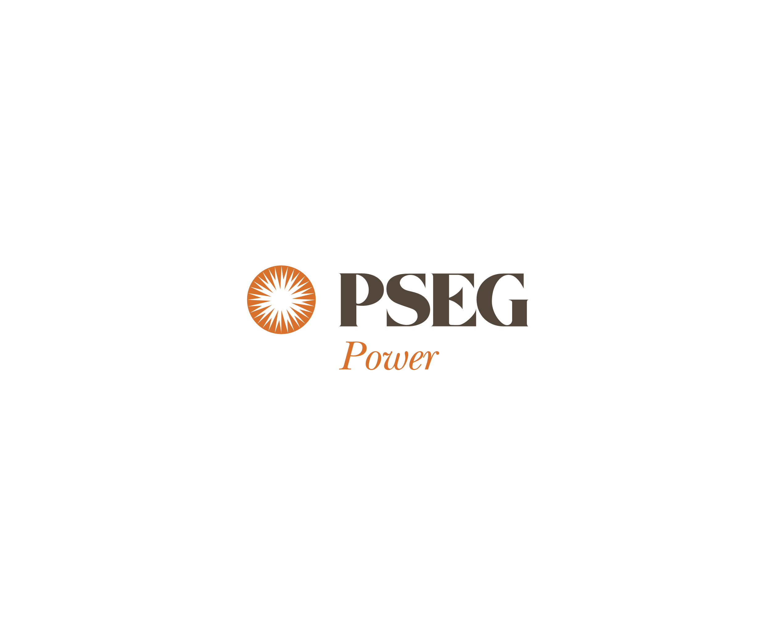 Pseg Power标志