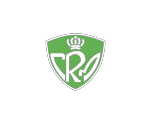 Rcmech 1LOGO