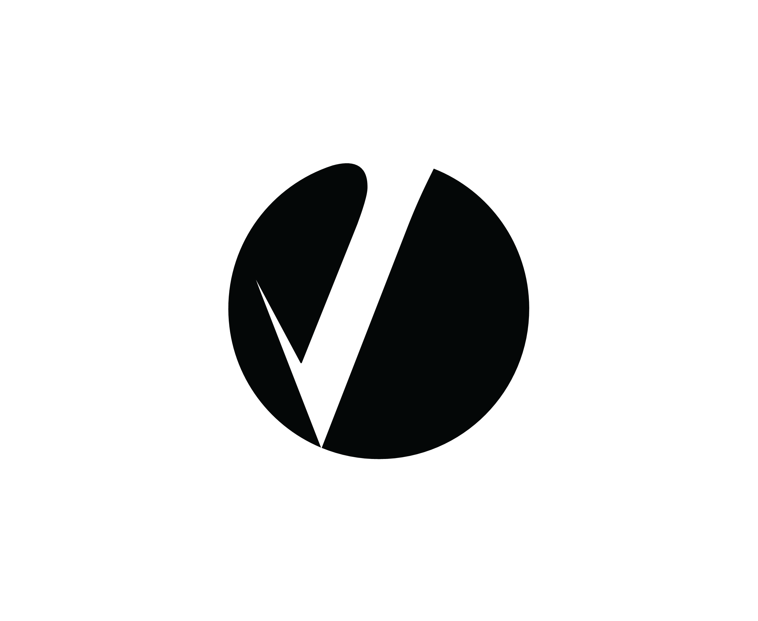 Coverity标志