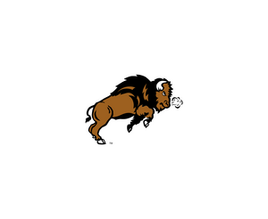 Ndsu Bison 6LOGO