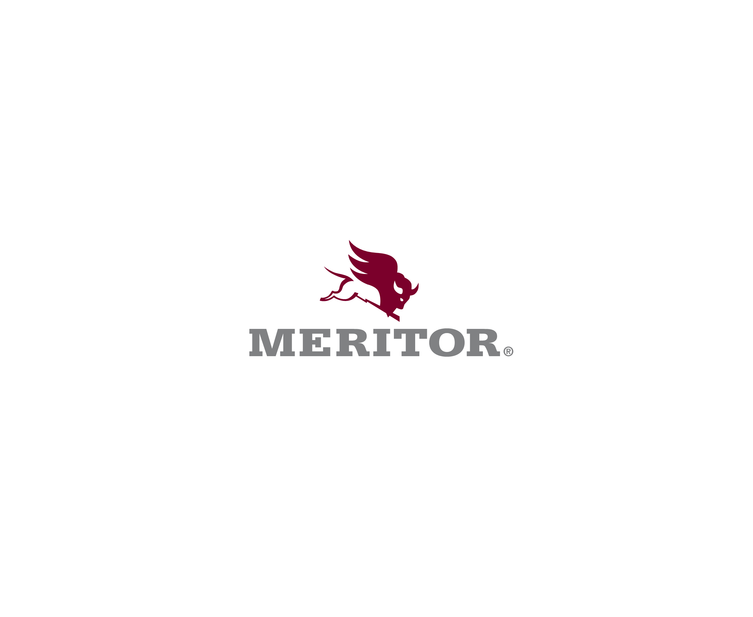 Meritor 1标志