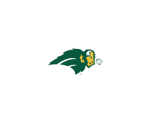Ndsu Bison 2LOGO
