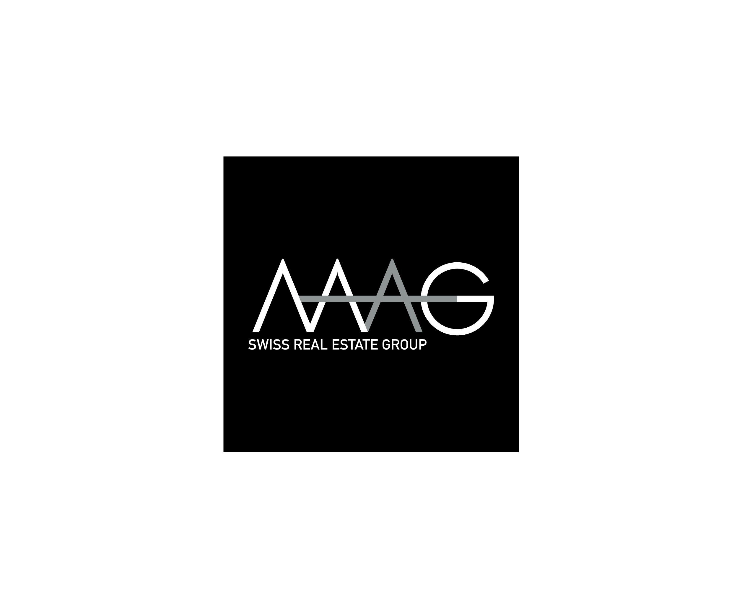 Maag Holding标志