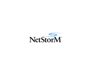NetstormLOGO