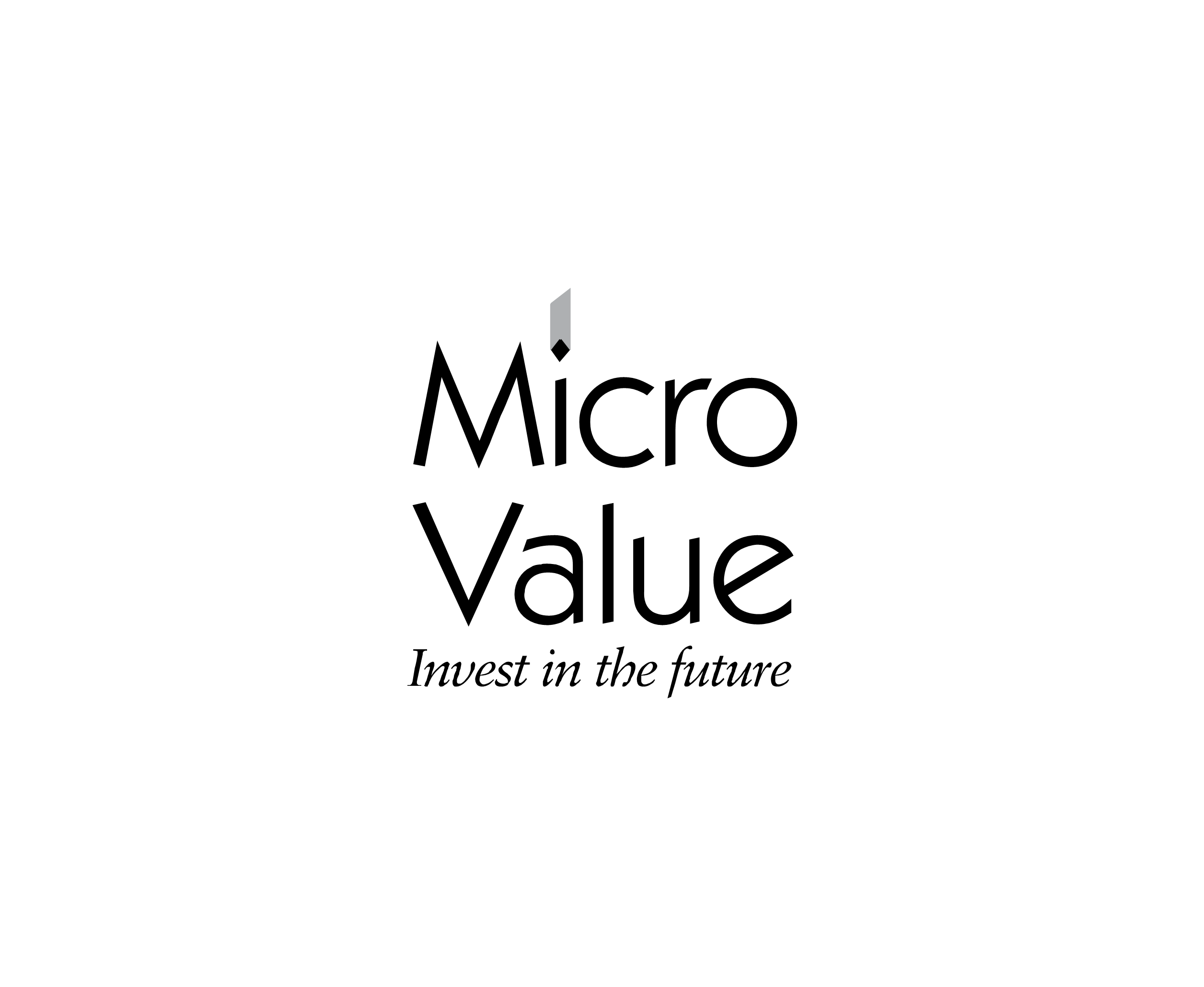 Micro Value 1标志