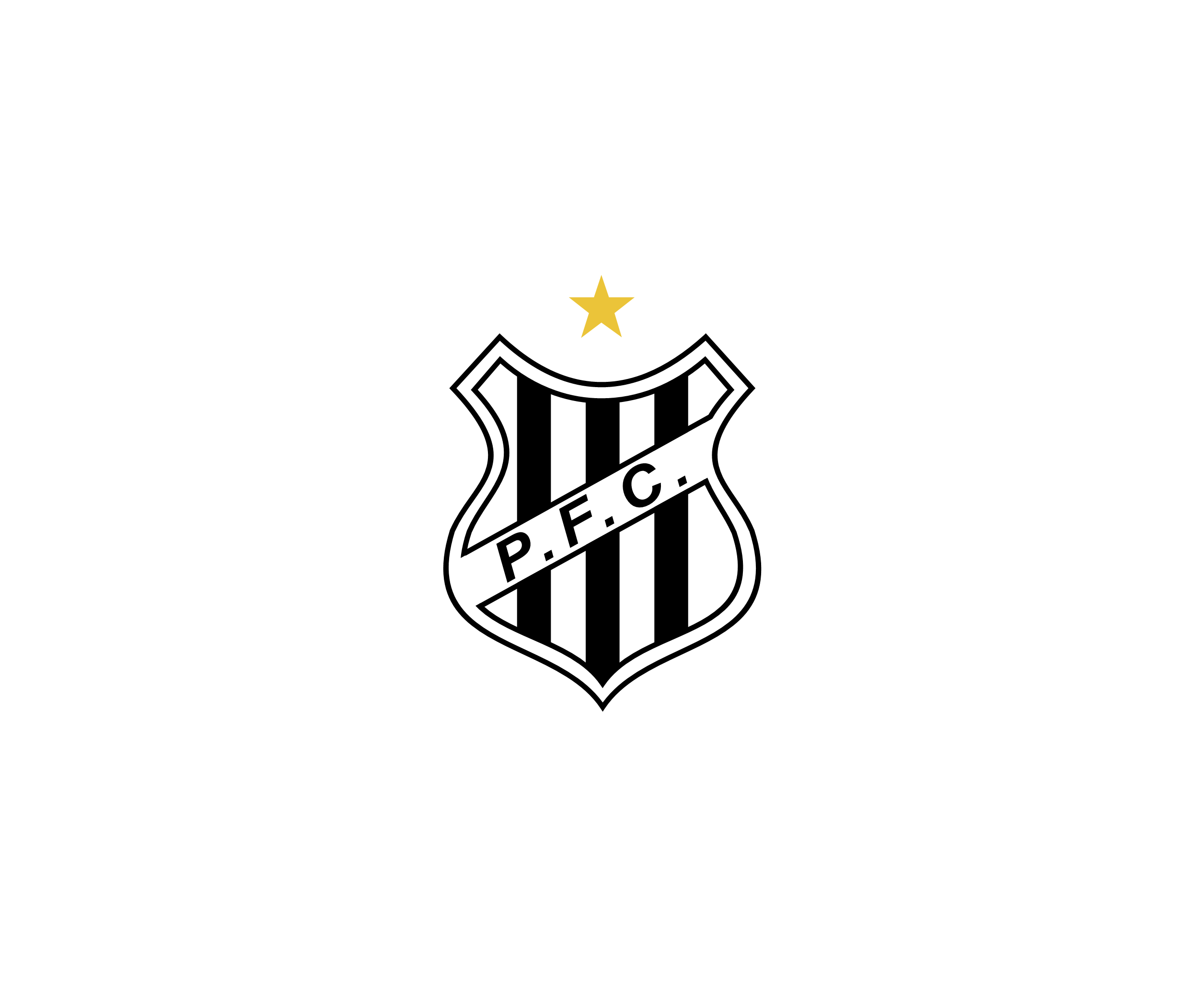 Palmeiras Futebol Clube De Sao Joao Da Boa Vista Sp标志