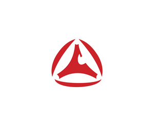 MetakoLOGO