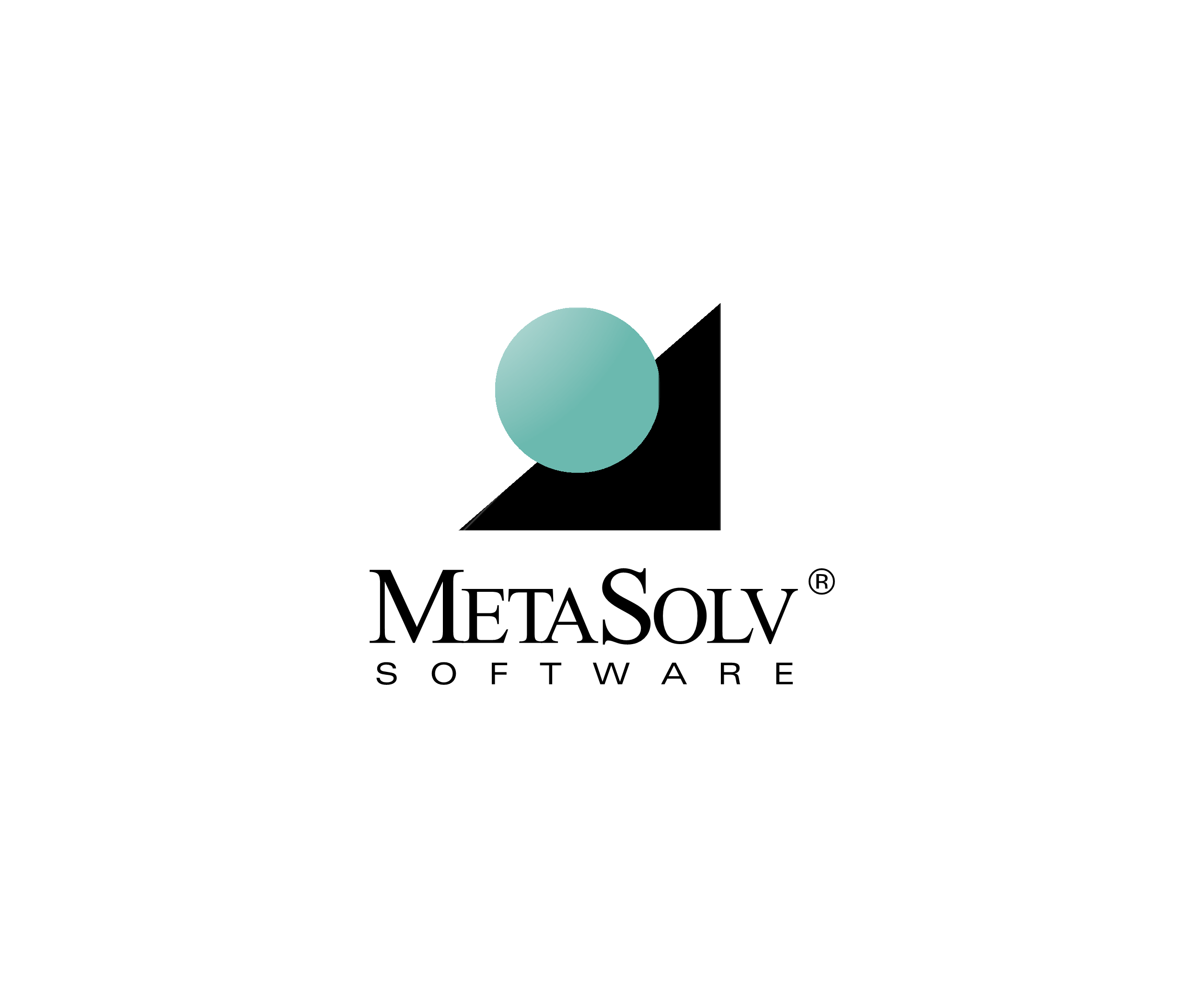Metasolv Software标志